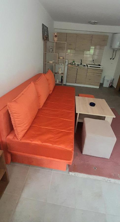 Apartman Nesa Boracko Jezero コニツ エクステリア 写真