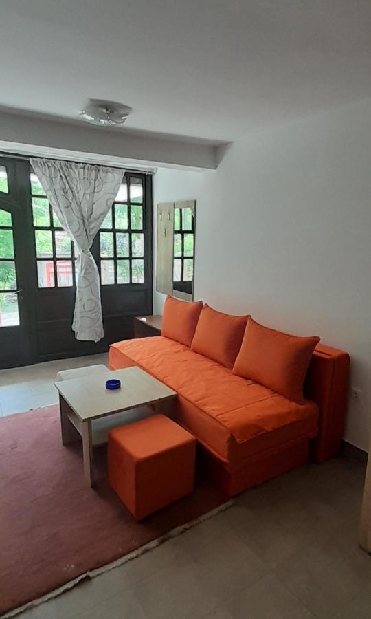 Apartman Nesa Boracko Jezero コニツ エクステリア 写真
